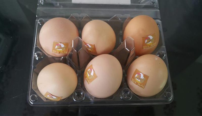 نگهداری و عرضه تخم مرغ شناسنامه دار بسته بندی در شرایط یخچالی اجباری می شود