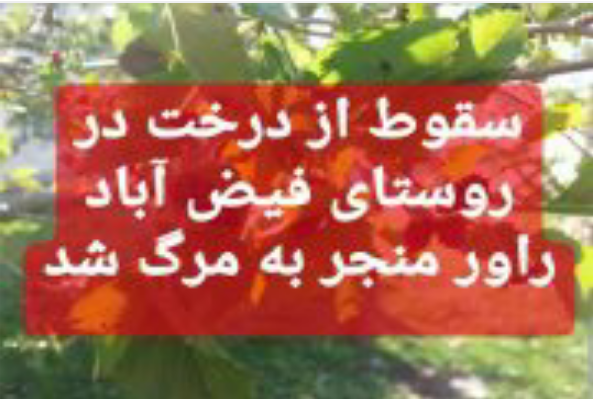 سقوط یک نفر از درخت در روستای فیض آباد راور منجر به مرگ وی شد